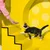A cat climbs a yellow staircase towards an outstretched hand offering a treat. A cat climbs a yellow staircase towards an outstretched hand offering a treat.