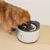 Zeus Oasis Drinking Fountain - Grey Zeus Oasis Drinking Fountain - Grey