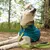 Icepeak Pet Grand X Halsband, limette