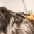 WAHL® Undercoat Rake