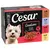 Cesar Selektion Fleisch und Gemüse in Gelee - 12 x 100 g Cesar Selektion Fleisch und Gemüse in Gelee - 12 x 100 g