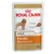 Royal Canin Poodle Barboncino Adult våtfoder, 85 g. För hundar över 10 månader. Synlig text: Coat Health, Muscle Tone, Adapted texture.