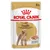 Plic hrană umedă Royal Canin Adult Poodle 85 g, pentru câini peste 10 luni. Text vizibil: Coat Health, Caniche/Barboncino, imagine pudel și hrană pe farfurie.