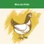 Rico en Pollo text in Spanish above illustration of a chicken. Text is not in Irish English (en_IE).