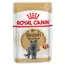 Royal Canin British Shorthair Adult в соусе - 24 x 85 г