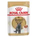 Royal Canin British Shorthair Adult în sos - 12 x 85 g