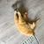 Red cat playing on wooden floor with a fur-like toy.