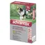Advantix spot-on pro psy od 10 kg do 25 kg - 2 x 2,5 ml