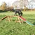 Trixie Dog Agility Bridge - 456 x 30 x 64 cm (L x W x H)