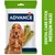 Confezione Advance affinity con immagine di stick dentali e cane; testo laterale: Dental Care Stick Medium Maxi. Confezione Advance affinity con immagine di stick dentali e cane; testo laterale: Dental Care Stick Medium Maxi.