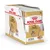 Опаковка с паучове Royal Canin Adult Poodle 85 г, изображение на пудел и порция храна, текст: Coat Health, Caniche/Barboncino, за кучета над 10 месеца.