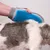 Handschuh mit blauen Noppen wird verwendet, um das Fell eines Hundes zu bürsten und lose Haare zu entfernen.