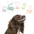 Reines Futter, perfektes Eiweiss-Fett-Verhältnis, Tierschutz, bessere Welt, glückliche gesunde Hunde. Illustration mit Hund und Symbolen.