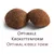 Две кафяви гранули с надпис „Optimale Krokettenform“ и „Optimal kibble form“.
