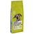Croquettes PURINA Dog Chow 14 kg pour chien + 2,5 kg Adult, agneau offerts !