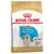 Royal Canin Golden Retriever Puppy  - 3 kg