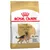 Royal Canin Adult German Shepherd torrfoder för tyska schäfrar från 15 månader. Speciell krokett, stödjer matsmältning, hudhälsa och leder.