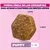 Eukanuba Premium Nutrition Puppy Large & Giant Breed pollo