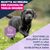Eukanuba Premium Nutrition Puppy Large & Giant Breed Pollo