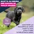 Eukanuba Premium Nutrition Puppy Large & Giant Breed Pollo