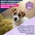 Eukanuba Premium Nutrition Senior Large & Giant Breed cordero y arroz