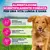Eukanuba Premium Nutrition Adult Large & Giant Breed Agnello & Riso