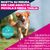 Eukanuba Premium Nutrition Adult Small & Medium Breed Salmone