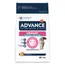 Advance Veterinary Diets Cat Urinary Sterilized Low Calorie - Økonomipakke: 2 x 7,5 kg