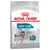 Royal Canin Maxi Joint Care pour chien - 2 x 10 kg