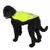 Sort hund bærer en gul reflekterende sikkerhedsvest med gråt pote-motiv.