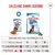 Tabela żywienia dla Royal Canin Puppy Maxi: tylko mokra karma z 12, 14 lub 10,5 saszetkami w zależności od wieku. Mieszane żywienie: 1 saszetka plus 367, 438 lub 330 g karmy suchej. Tabela żywienia dla Royal Canin Puppy Maxi: tylko mokra karma z 12, 14 lub 10,5 saszetkami w zależności od wieku. Mieszane żywienie: 1 saszetka plus 367, 438 lub 330 g karmy suchej.