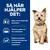 Så här hjälper det: Hjälper till att skydda vital njurfunktion, stimulerar aptiten och ökar foderintaget, stödjer den naturliga förmågan att bygga upp och underhålla muskelmassa.