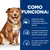 Texto: Como funciona. Proteína única, intacta e inovadora para ajudar a evitar reações adversas aos alimentos. Com bioativos e fitonutrientes que ajudam a promover uma resposta imunitária saudável. Com ómega-3 de óleo de peixe para ajudar a apoiar a saúde contínua da pele. Texto: Como funciona. Proteína única, intacta e inovadora para ajudar a evitar reações adversas aos alimentos. Com bioativos e fitonutrientes que ajudam a promover uma resposta imunitária saudável. Com ómega-3 de óleo de peixe para ajudar a apoiar a saúde contínua da pele.