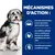 MÉCANISMES D’ACTION : Formulée pour favoriser la prise alimentaire, dès le premier repas. Une nutrition optimale riche en calories pour les activités du chien. Favorise la qualité des selles.