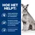 Hoe het helpt: verbetert spijsvertering en opname voedingsstoffen, bevordert darmbacteriën en ontlasting, ondersteunt gezond immuunsysteem. Afbeelding van een zittende hond.