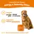 Zesty Paws Allergy & Immunity Chews Salmone