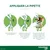 Advantage® 40 pour chat et lapin < 4 kg