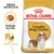 Balení krmiva ROYAL CANIN ADULT Cavalier King Charles, obrázek granule, text: Granule na míru, Zdraví srdce, BREED NUTRITION. Balení krmiva ROYAL CANIN ADULT Cavalier King Charles, obrázek granule, text: Granule na míru, Zdraví srdce, BREED NUTRITION.