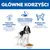Hill's Science Plan Adult 1–6 Medium, z kurczakiem