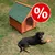 Caseta de madera para perro con tejado verde, situada en césped. Perro grande tumbado delante. Símbolo de porcentaje en círculo rojo indica oferta o descuento visible.