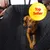 Housse de protection noire pour siège arrière de voiture, chien allongé dessus. Badge jaune avec texte « Top Seller » en haut à droite. Housse de protection noire pour siège arrière de voiture, chien allongé dessus. Badge jaune avec texte « Top Seller » en haut à droite.
