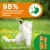 95% ветеринаров рекомендуют нашу формулу Digestion & Prebiotic. Изображение белой кошки и упаковки продукта с символом желудка.