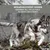 Sparpack Wolf of Wilderness Adult - Single Protein 12 x 400 g