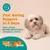 Gyors segítség 2 napon belül. Alkalmazása előre látható stresszes események előtt 1-2 nappal ajánlott. Zesty Paws Easy Calm Rapid Care Paste látható. Gyors segítség 2 napon belül. Alkalmazása előre látható stresszes események előtt 1-2 nappal ajánlott. Zesty Paws Easy Calm Rapid Care Paste látható.
