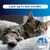 Ever Clean® Extra Strong Clumping Cat Litter - Unscented