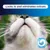 Ever Clean® Litterfree Paws Cat Litter