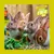 Four rabbits eating leafy greens and hay, with a visible label stating 'Stamping out selective feeding. Muesli Free Co.' in the top right corner.