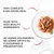 100% complete and balanced meal, made with high quality ingredients, no added colourants, no added artificial flavourings or preservatives. Image shows chunks of food in gravy on a plate.