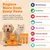 Zesty Paws Flea & Tick Spray - 250ml Zesty Paws Flea & Tick Spray - 250ml