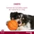 Advantix® grand chien, de 25 kg à 40 kg